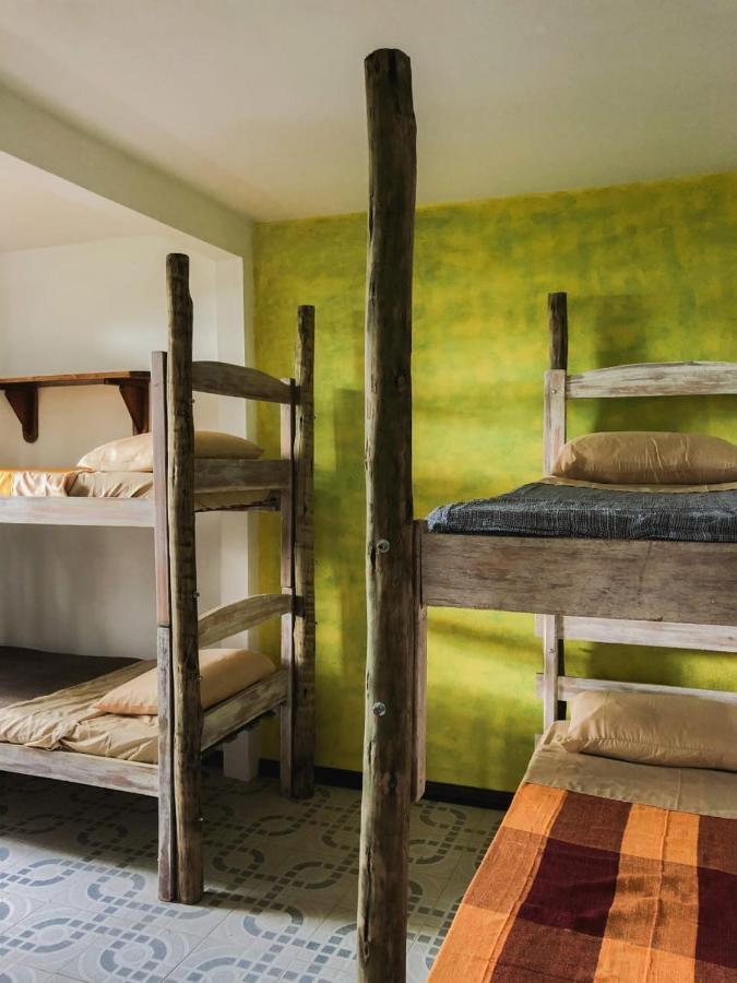 Hostel Zen - Casa Na Floresta イタカレ エクステリア 写真
