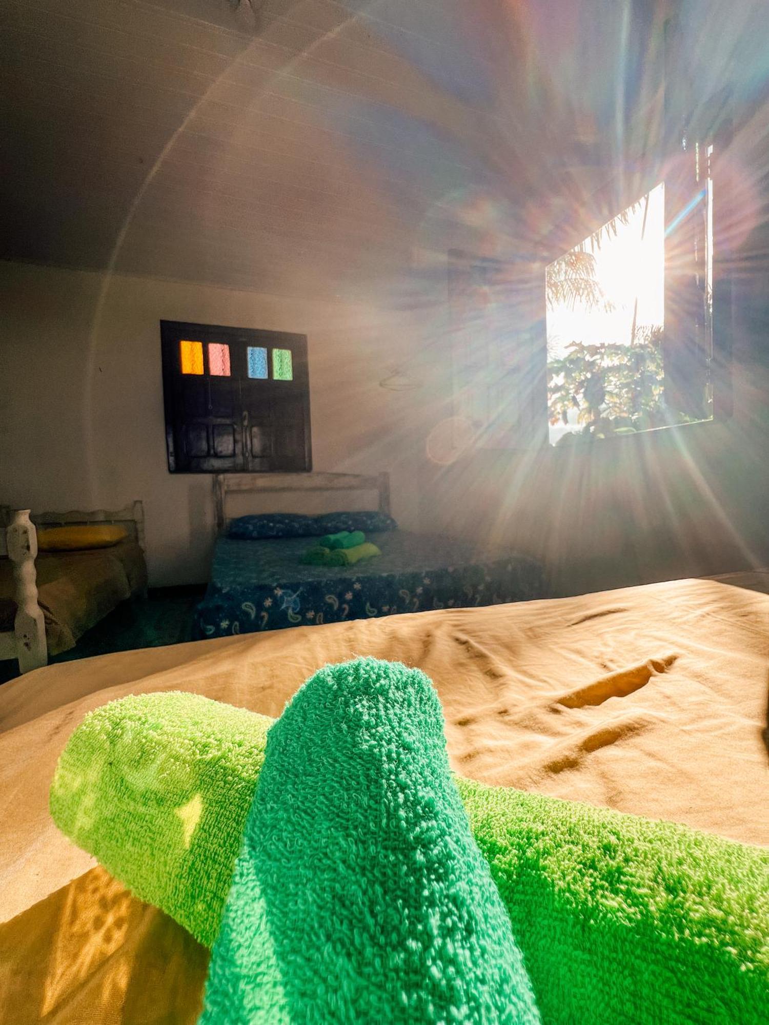 Hostel Zen - Casa Na Floresta イタカレ エクステリア 写真