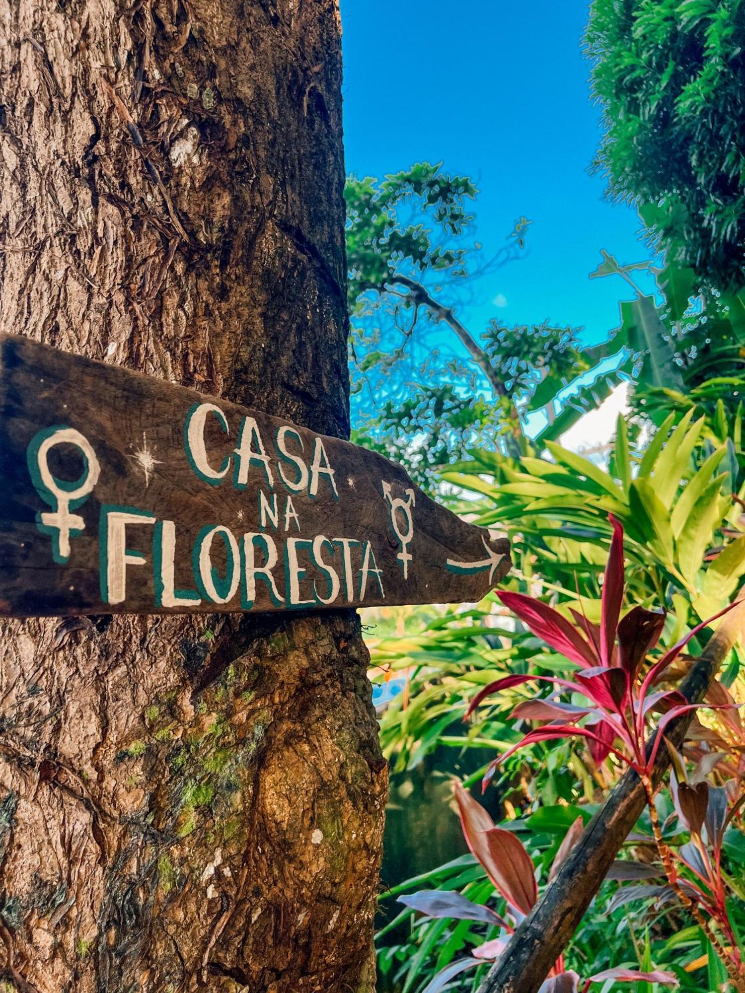 Hostel Zen - Casa Na Floresta イタカレ エクステリア 写真