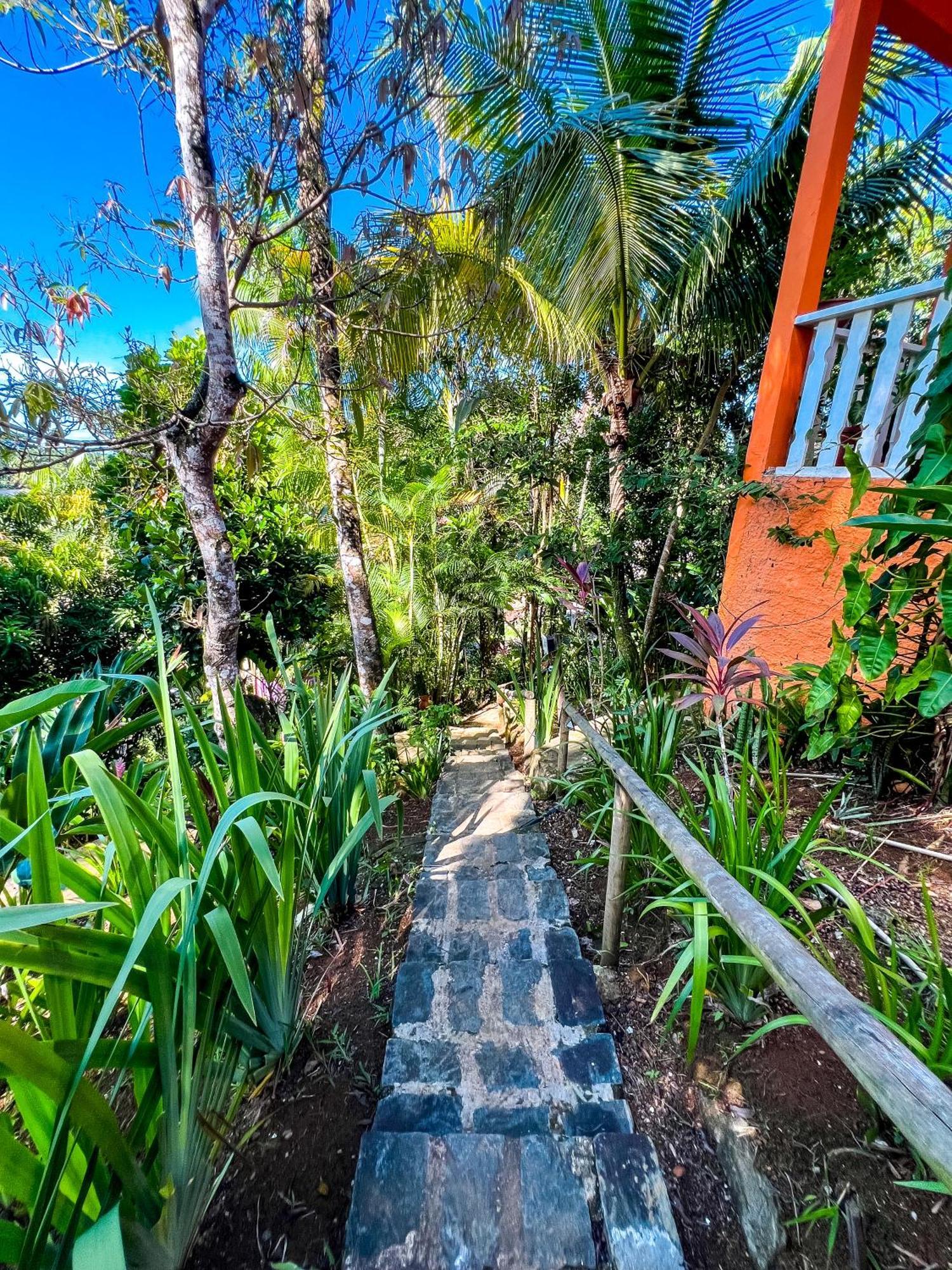 Hostel Zen - Casa Na Floresta イタカレ エクステリア 写真