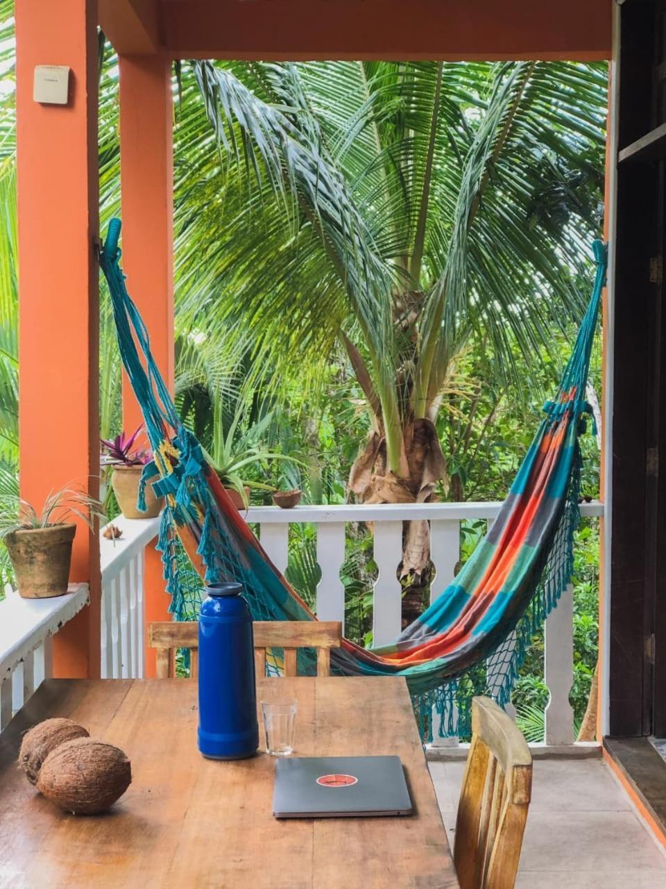 Hostel Zen - Casa Na Floresta イタカレ エクステリア 写真